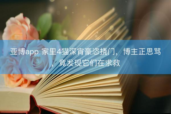 亚博app 家里4猫深宵豪恣挠门，博主正思骂，竟发现它们在求救