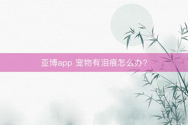 亚博app 宠物有泪痕怎么办?