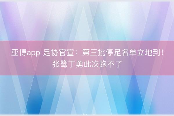 亚博app 足协官宣:第三批停足名单立地到!张鹭丁勇此次跑不了