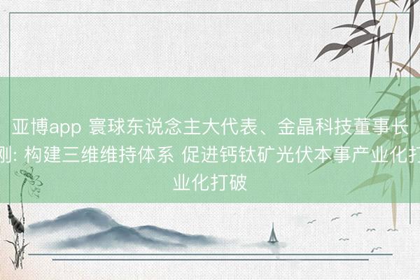 亚博app 寰球东说念主大代表、金晶科技董事长王刚: 构建三维维持体系 促进钙钛矿光伏本事产业化打破