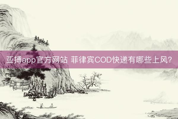亚搏app官方网站 菲律宾COD快递有哪些上风？
