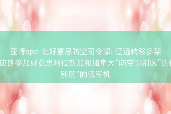 亚博app 北好意思防空司令部: 辽远转移多架军机， 应酬参加好意思阿拉斯加和加拿大“防空识别区”的俄军机