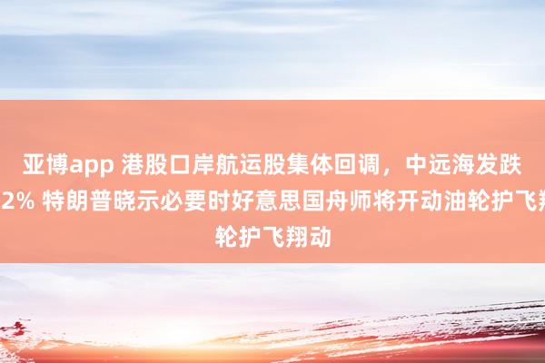 亚博app 港股口岸航运股集体回调，中远海发跌超12% 特朗普晓示必要时好意思国舟师将开动油轮护飞翔动
