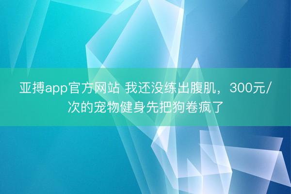 亚搏app官方网站 我还没练出腹肌,300元/次的宠物健身先把狗卷疯了
