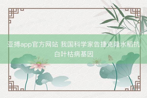 亚搏app官方网站 我国科学家告捷克隆水稻抗白叶枯病基因