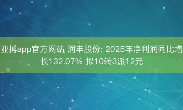 亚搏app官方网站 润丰股份: 2025年净利润同比增长132.07% 拟10转3派12元